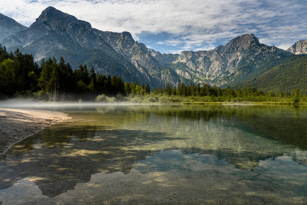 Morgens am Almsee